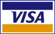 Visa credit card